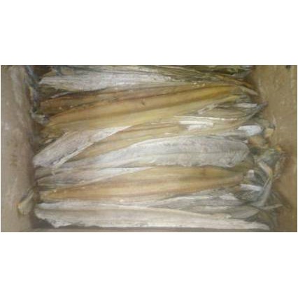 

Ikan Asin MALONG 1.000 Gr