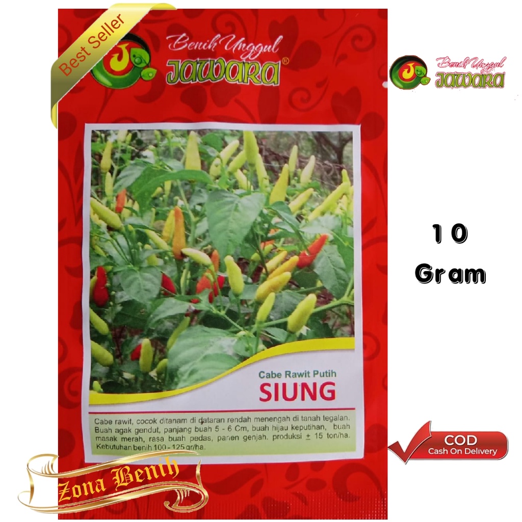 Isi 10 Gram Bibit Cabe Rawit SIUNG | Benih Cabe | Bibit Cabai Rawit | Bibit Unggul