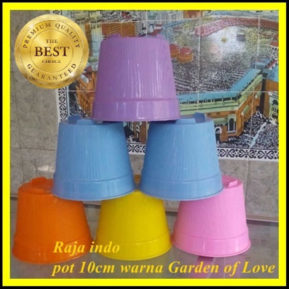 Pot Es Krim 10cm Tanpa Lubang Pot Bunga 10 Cm Putih Hijau Kuning Pink Ungu Bkn Pot tawon 10 Cm