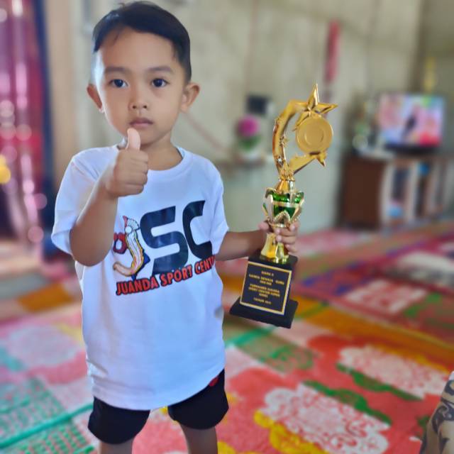 remonpangerantransport