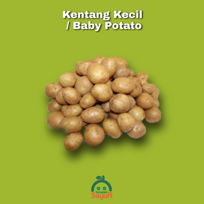 

Kentang Kecil / Baby Potato / Kentang Rendang Segar 250 Gram Kualitas Pilihan