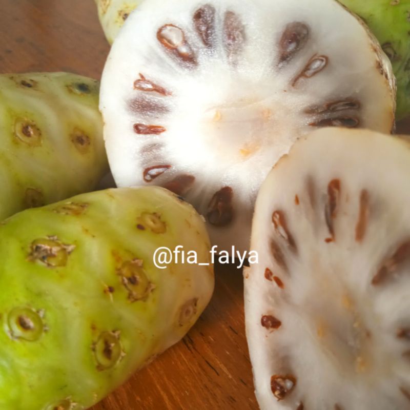 

BUAH MENGKUDU/NONI SEGAR