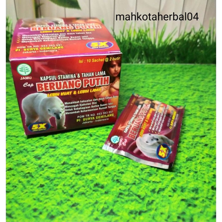 beruang putih kapsul
