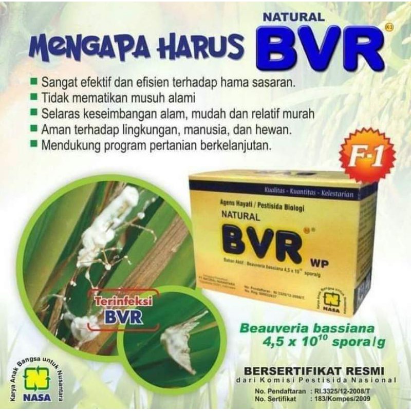 BVR NASA