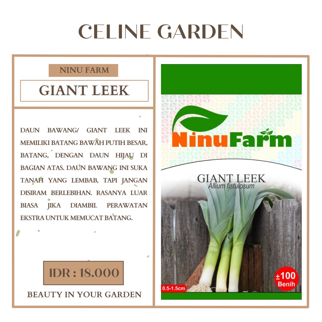 BIBIT DAUN BAWANG / BIBIT GIANT LEEK / BIBIT DAUN BAWANG JUMBO / NINU FARM / KEMASAN ASLI PABRIK