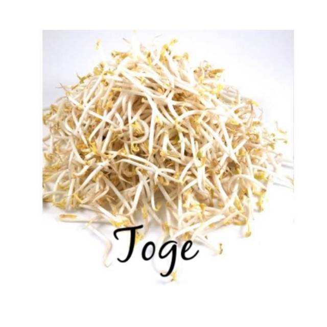 

Toge 250 Gram