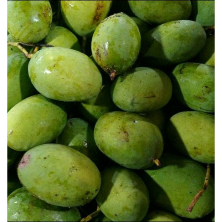 

mangga kuweni 1kg~ Pasar Segar Depok