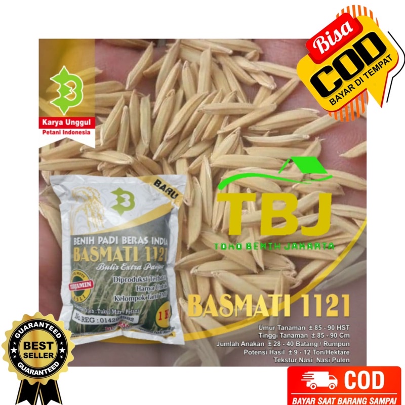Benih Bibit Padi Basmati India Unggul Ori