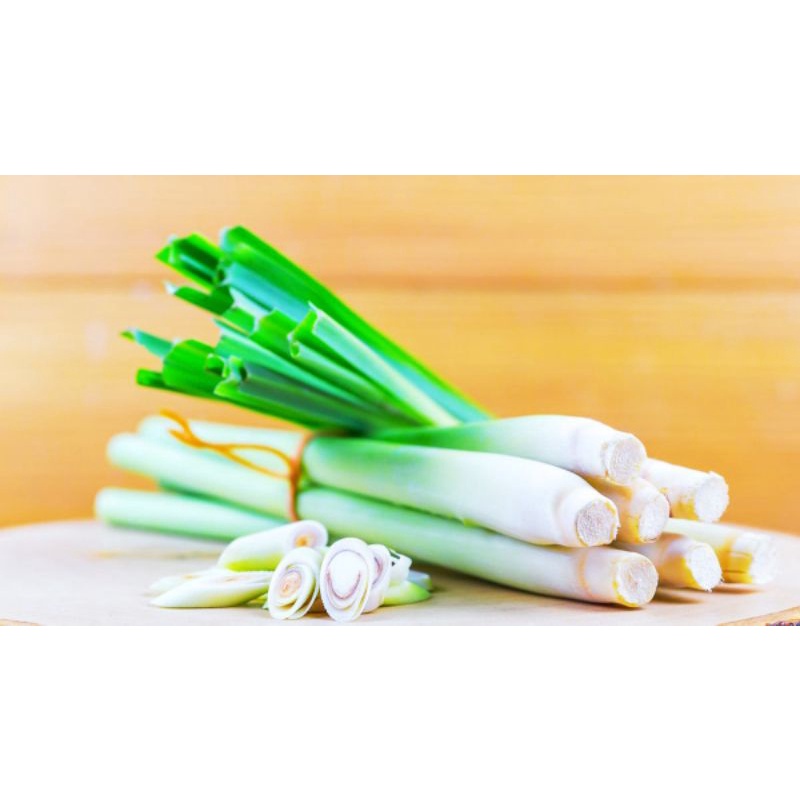

Daun Sereh Freesh 250gram