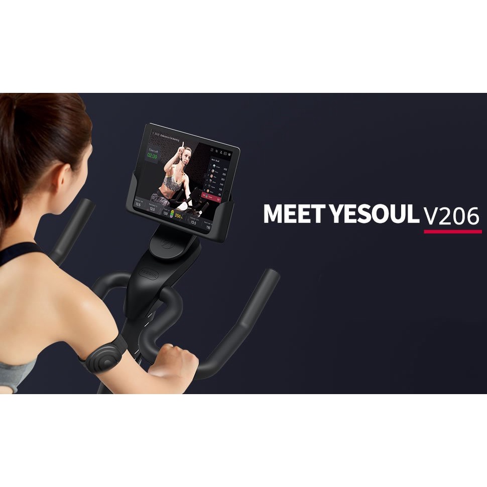 Yesoul V206 Smart Heart Rate Armband