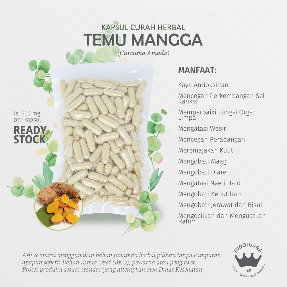 

TEMU MANGGA 100 Kapsul Curah Herbal Mengecilkan Rahim Organ Limpa Imun