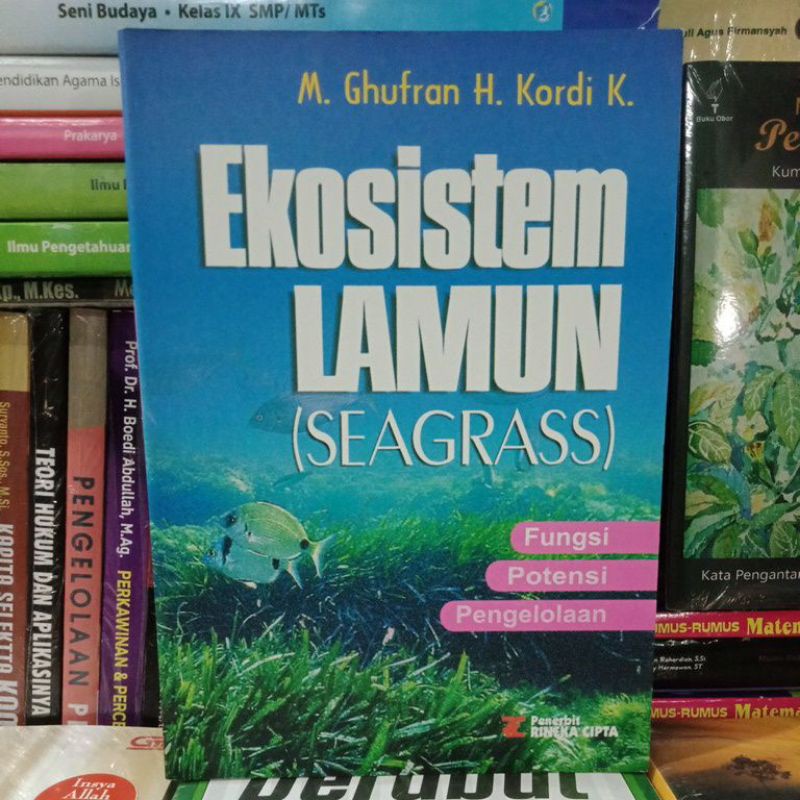 Ekosistem Lamun (Seagrass)
