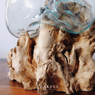 Glass on Wood Vase Size L Vas Kaca  Terrarium Vas 