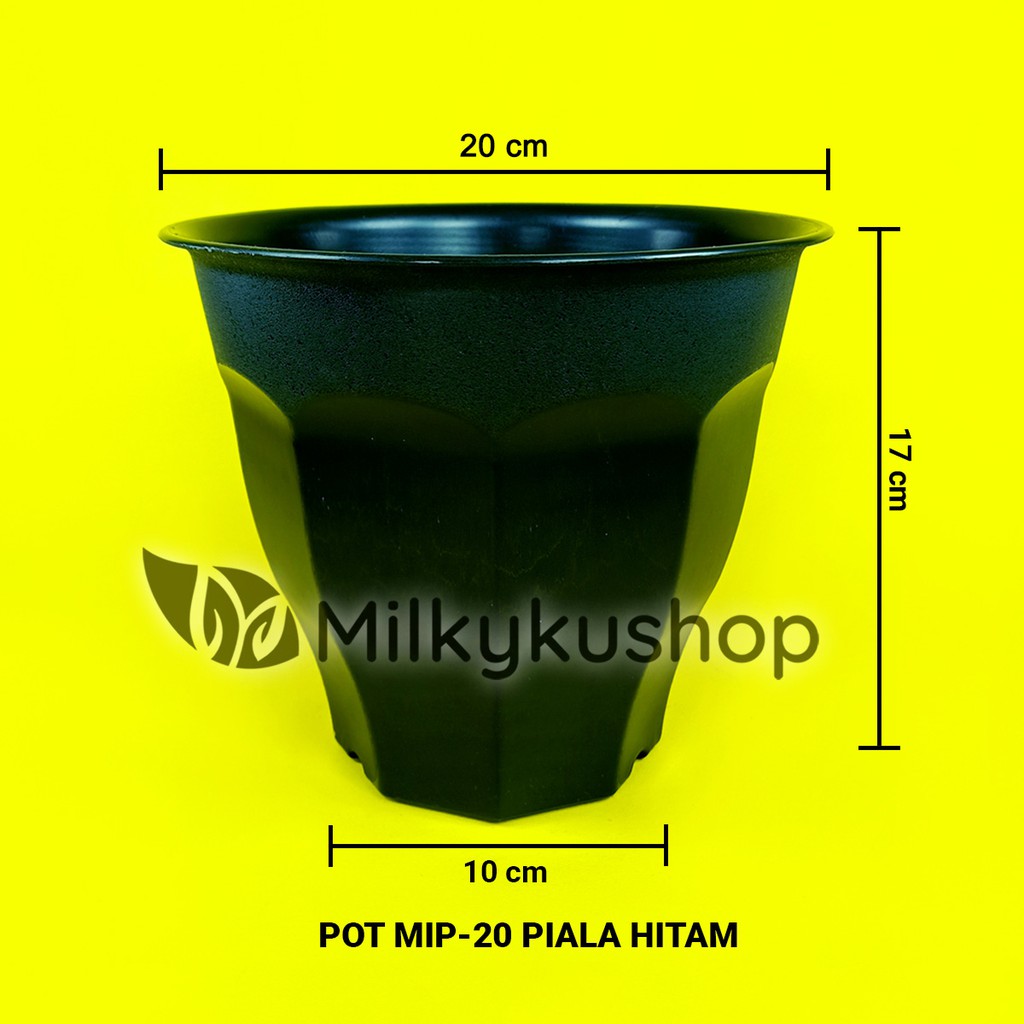 POT MIP 20 PIALA HITAM 20 CM - POT BUNGA TANAMAN