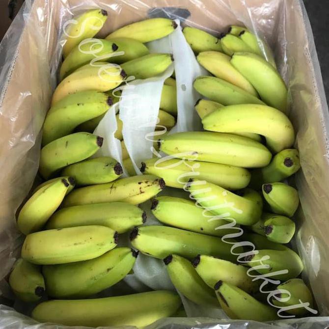 

BEST SELLER Pisang FB 2 sunfresh / sunpride 13kg