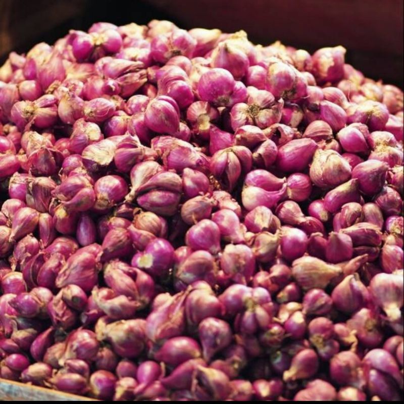 

BAWANG MERAH BEREBES SUPER 500GRAM