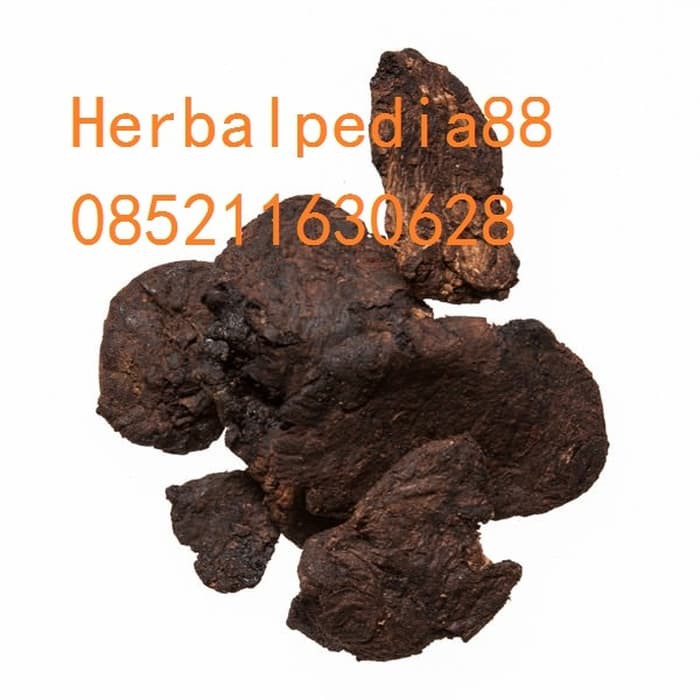 

100 G GR GRAM SHENG DI HUANG PIAN PREPARED REHMANNIA ROOT SLICE SLICED