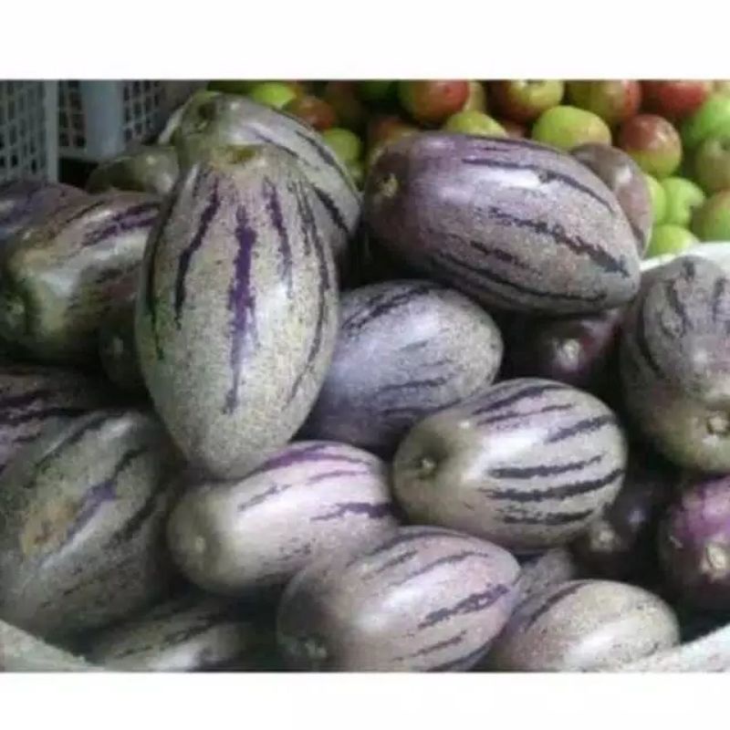 

buah papino 1kg