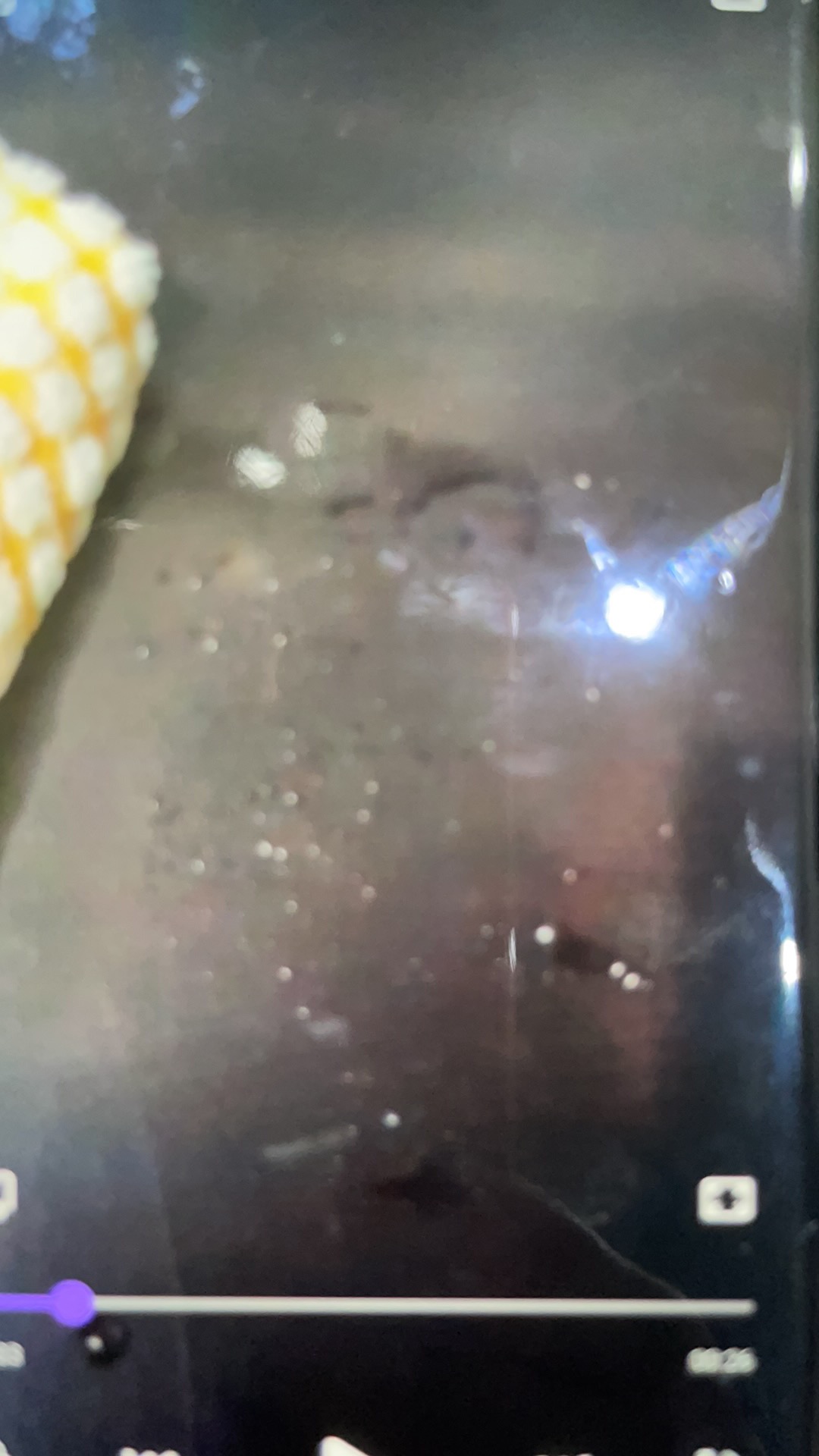 Serbet / Lap Handuk Dapur Meja Kotak Mgp 50 X 50 Cm