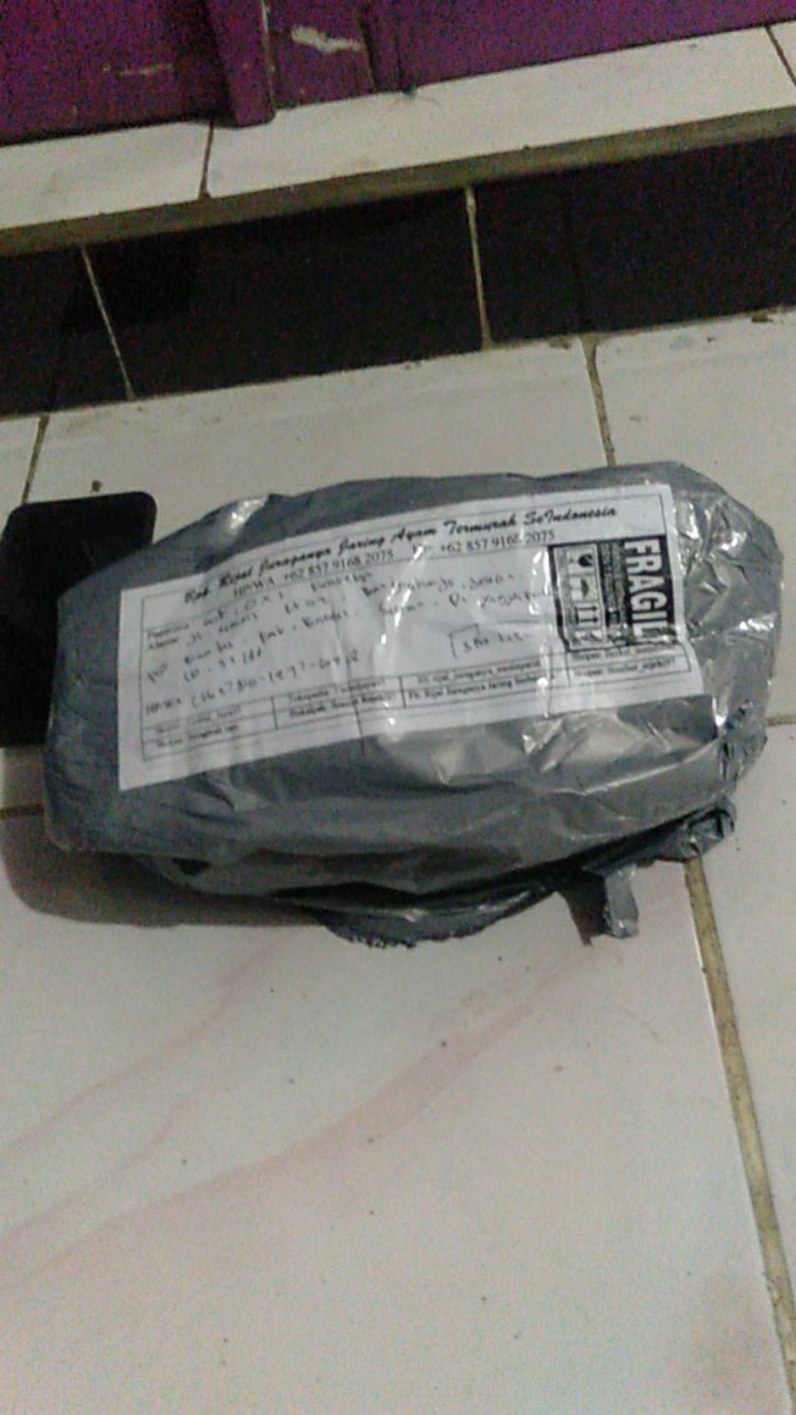 Jaring Ayam Lebar 1,2 Meter Jaring Pagar Ayam - Jaring Kandang Burung Jaring Pagar Tanaman