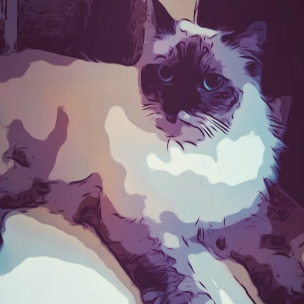 bernaditha2015042001