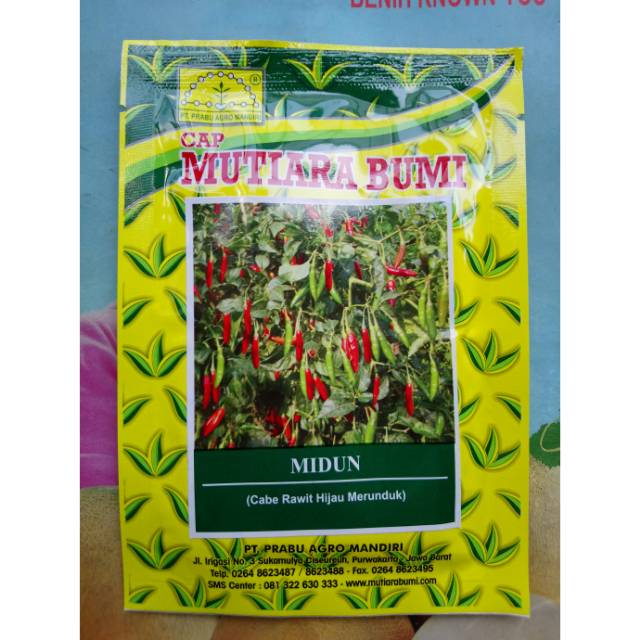 Benih Biji Cabe Rawit Hijau Merunduk MIDUN 10gr