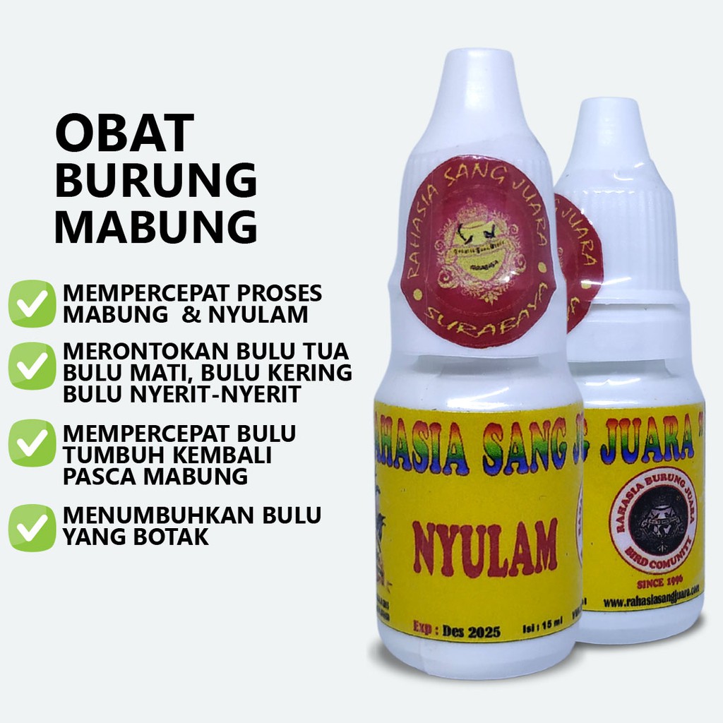 OBAT BURUNG MABUNG NYULAM NGURAK MEMPERCEPAT PROSES MABUNG GANTI BULU