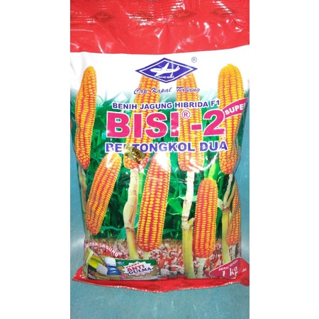 BENIH JAGUNG BISI-2 1 KG
