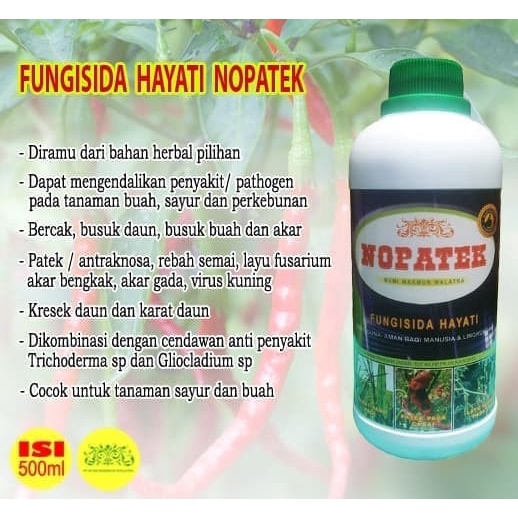 FUNGISIDA HAYATI ORGANIK NOPATEK