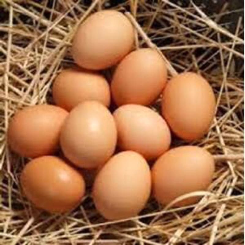 

RB SayurJM - Telur Ayam Negeri 1kg Original / Ikat Pakai Tray Aman