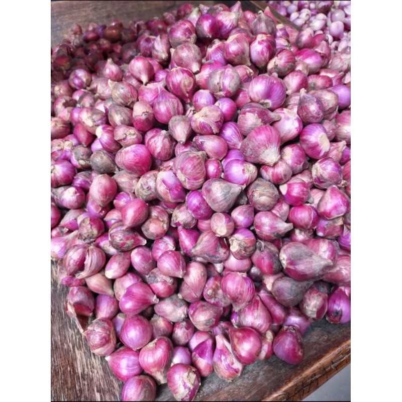 

Bawang Merah Brebes
