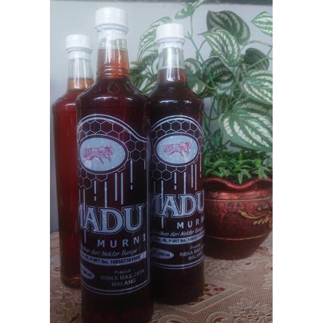 

MADU MURNI KELENGKENG DAN RANDU 700gram
