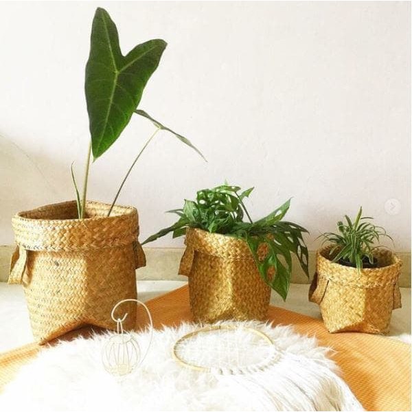 Unik SET Bakul Purun Polos (S,M,L) Cover Pot Keranjang Anyaman Purun Basket Terlaris