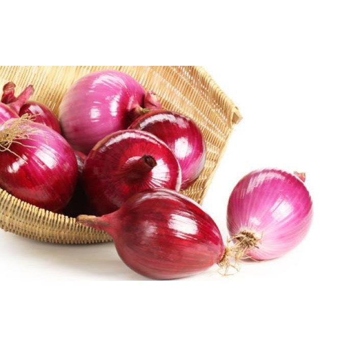 Bibit Benih Biji Bawang Merah - Red Onion For Kitchen Isi 40 Biji-4