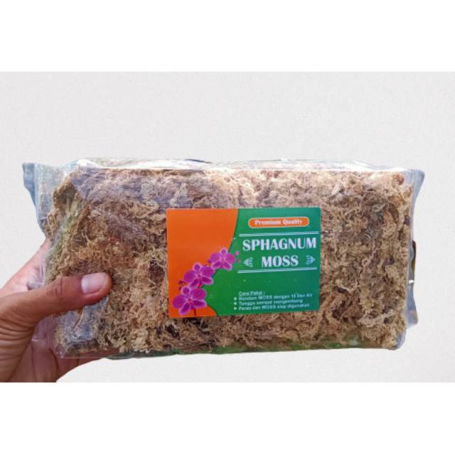 Media Anggrek, spagnum mos, mos putih, mos Chile.