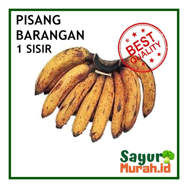

BUAH PISANG BARANGAN 1 SISIR