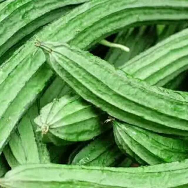 

Oyong 500gr