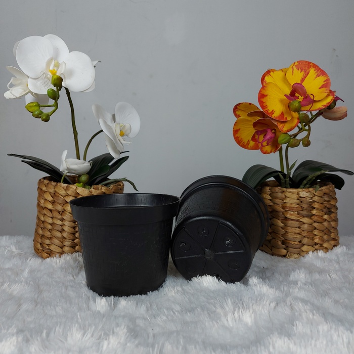 Pot Hitam 12 Pot Kecil Hitam Pot Benih Pot Bibit