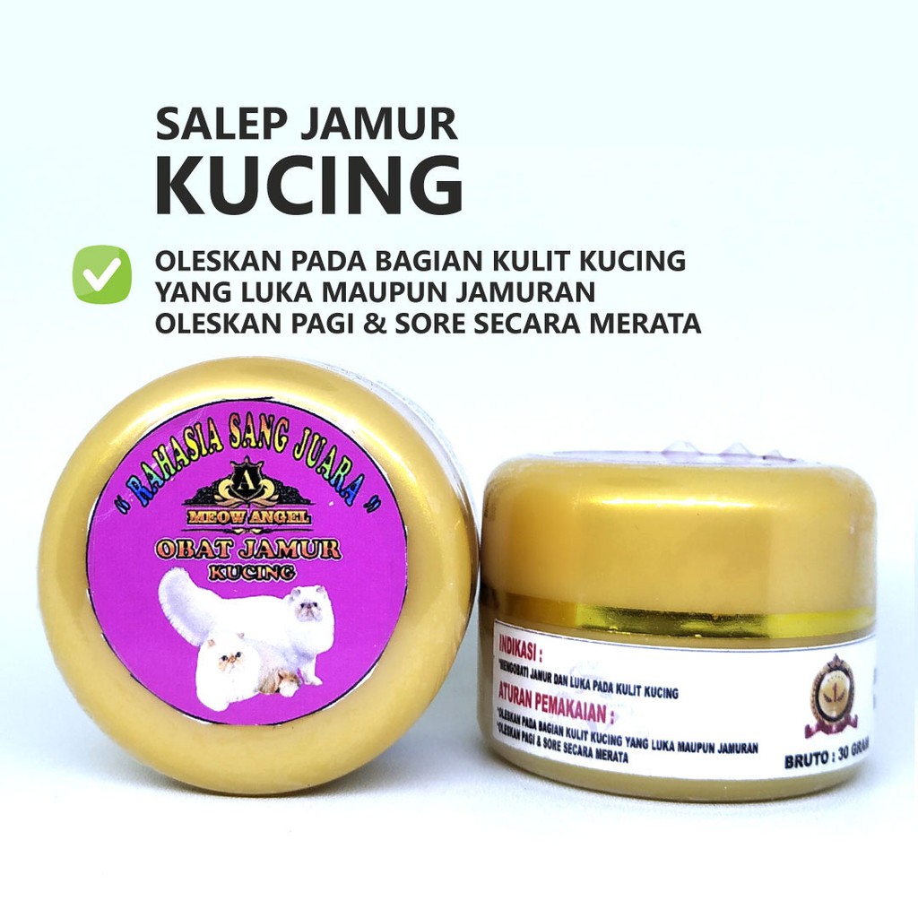 SALEP JAMUR KUCING | OBAT JAMUR KUCING AMPUH MENGOBATI LUKA DAN JAMUR PADA KULIT KUCING SCABIES DLL