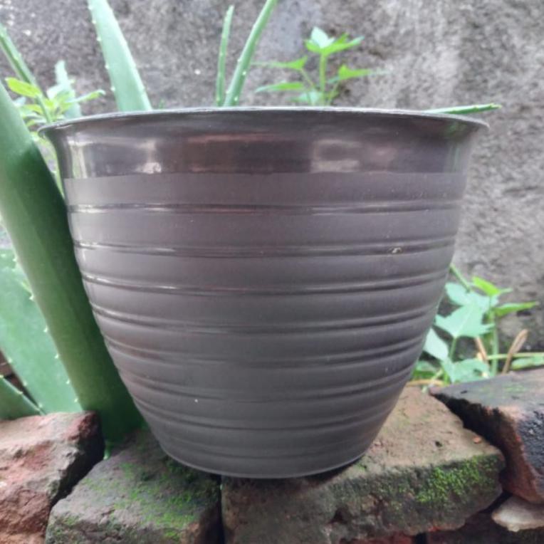 Termurah dan terbaik >> POT keong madu 25 warna hitam berlubang tawon, vas bunga