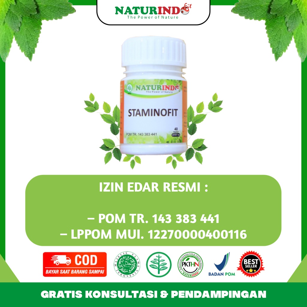 Obat Herbal Ejakulasi Dini Atasi Sperma Encer Lemah Syahwat Disfungsi Ereksi  Staminofit Naturindo Bpom Halal Tanpa Efek Samping-5