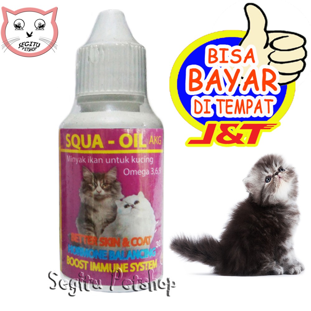 Minyak Ikan Kucing Vitamin Cair Fish Oil Squa Oil Shopee Indonesia