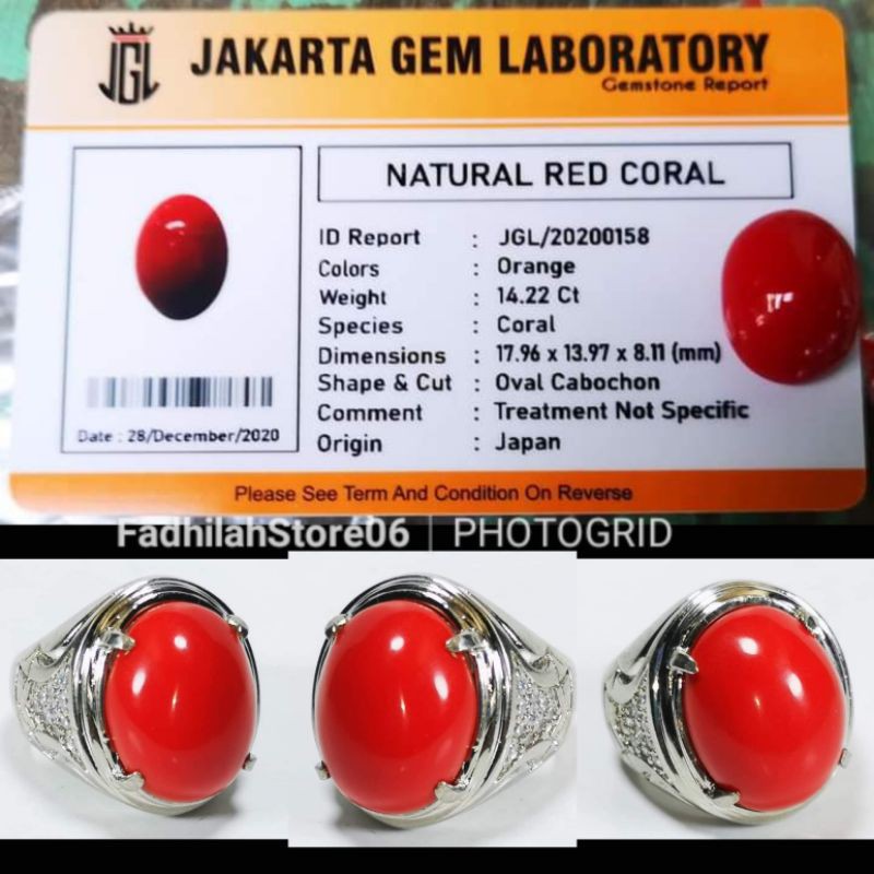 NATURAL RED CORAL AKIK MARJAN OVAL + MEMO LAB