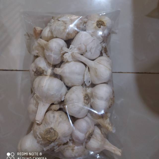 

Bawang putih Kating