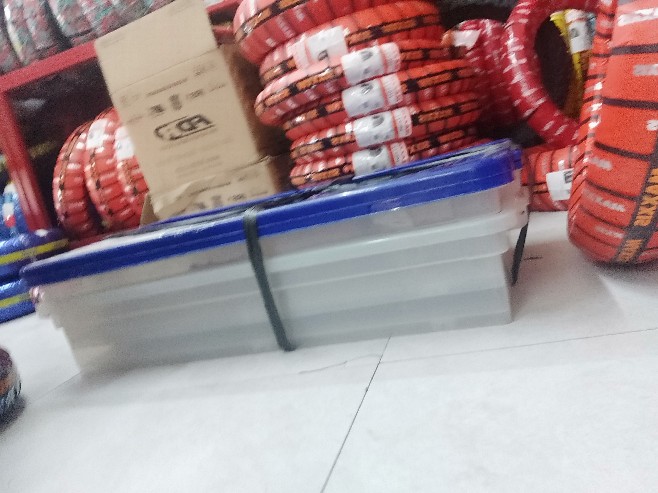 Box Container / Container Box Plastik / Box Ular