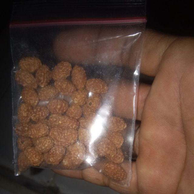 Jenitri 1kg Murmer