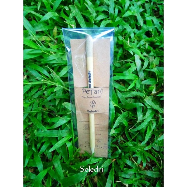 

PETANI Seledri / Pensil benih /Pensil Tanam Indonesia /pensil bibit//pensil ajaib / pensil unik / pensil tumbuhan / pensil kayu / pensil bulat polos// pensil yang bisa ditanam /pensil tumbuh sayuran /pensil yang ada bijinya / pensil yang ada benihnya