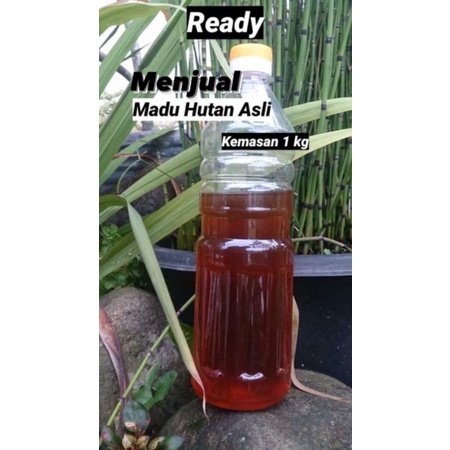 

madu asli 100% tanpa campuran