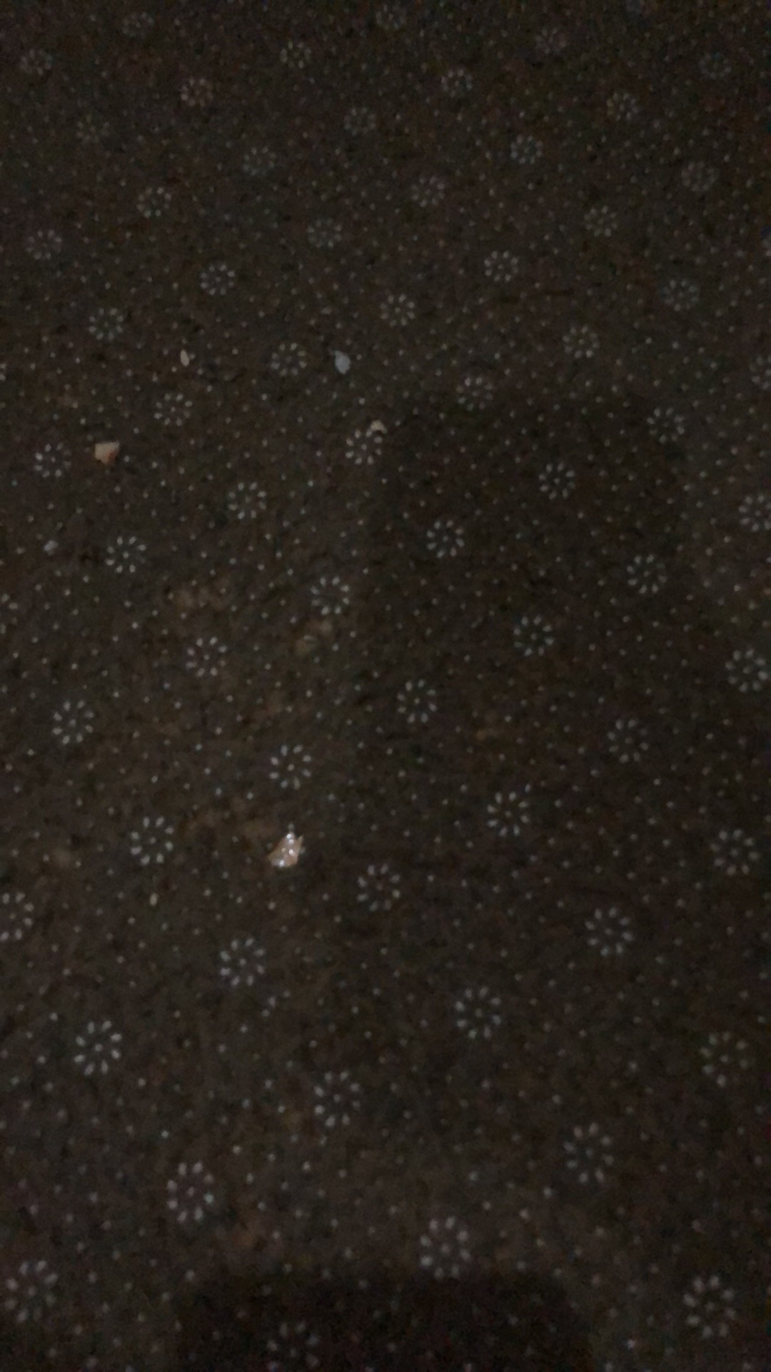 Tali Jemuran Bahan Nilon Panjang 10 Meter Anti Selip Nylon Warna Warni Tali Serbaguna