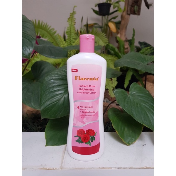 HAND BODY PLACENTA 500 ML, PLACENTA UV WHITENING HAND AND BODY LOTION, HAND N BODY LOTION PLACENTA